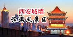 日B动态图中国陕西-西安城墙旅游风景区