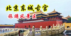老女人乱伦天堂视频中国北京-东城古宫旅游风景区